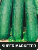 cucumber super marketer